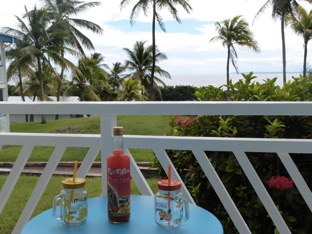 Studio Vue Mer Piscine Plage Kaz Punch Manganao Chez Julie 圣弗朗索瓦 外观 照片
