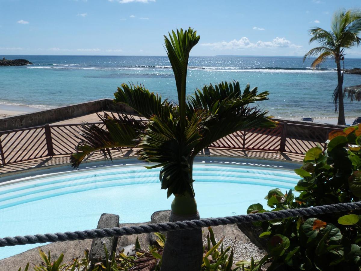 Studio Vue Mer Piscine Plage Kaz Punch Manganao Chez Julie 圣弗朗索瓦 外观 照片