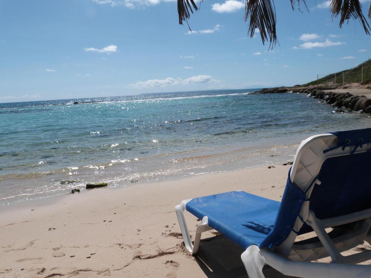Studio Vue Mer Piscine Plage Kaz Punch Manganao Chez Julie 圣弗朗索瓦 外观 照片