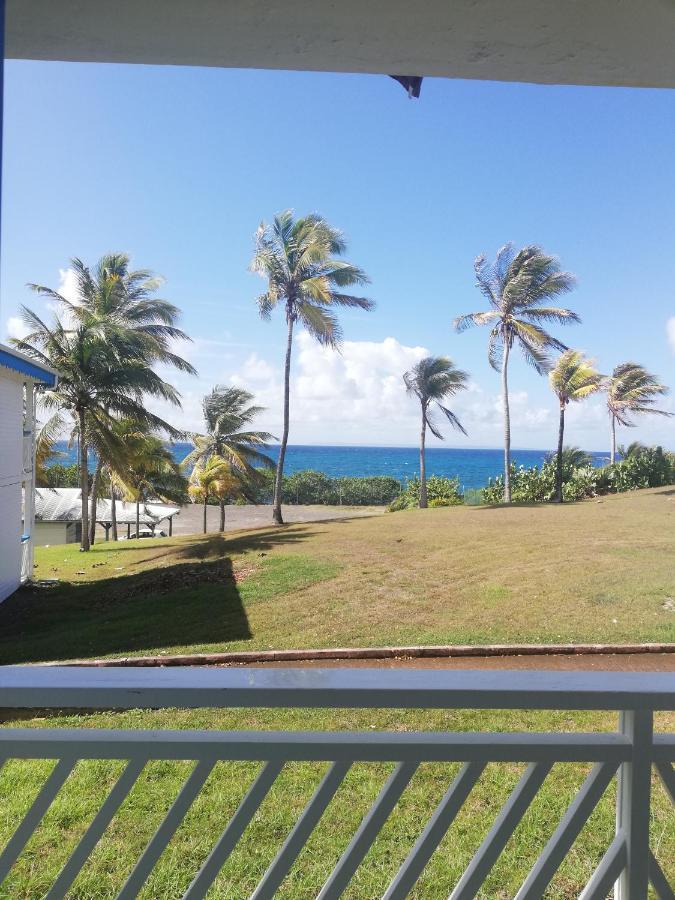 Studio Vue Mer Piscine Plage Kaz Punch Manganao Chez Julie 圣弗朗索瓦 外观 照片