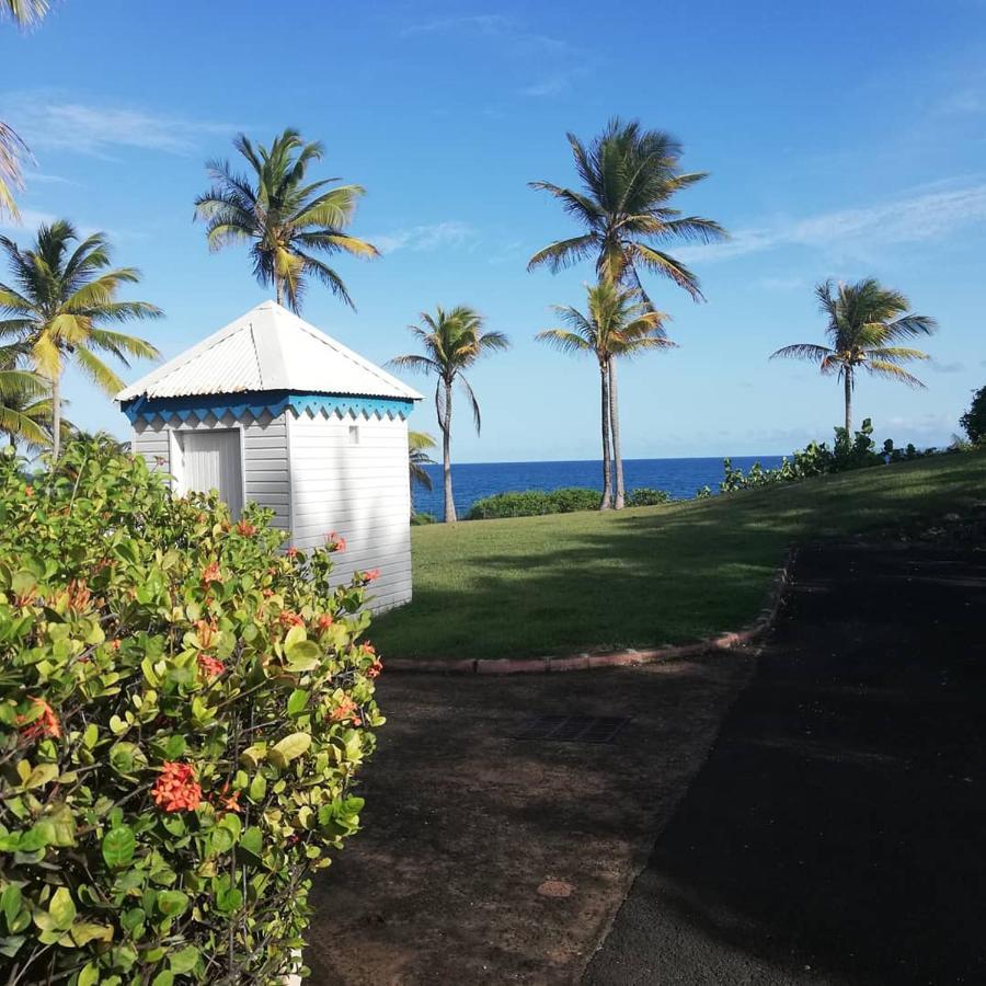 Studio Vue Mer Piscine Plage Kaz Punch Manganao Chez Julie 圣弗朗索瓦 外观 照片