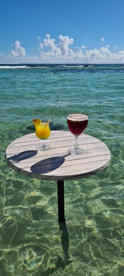 Studio Vue Mer Piscine Plage Kaz Punch Manganao Chez Julie 圣弗朗索瓦 外观 照片