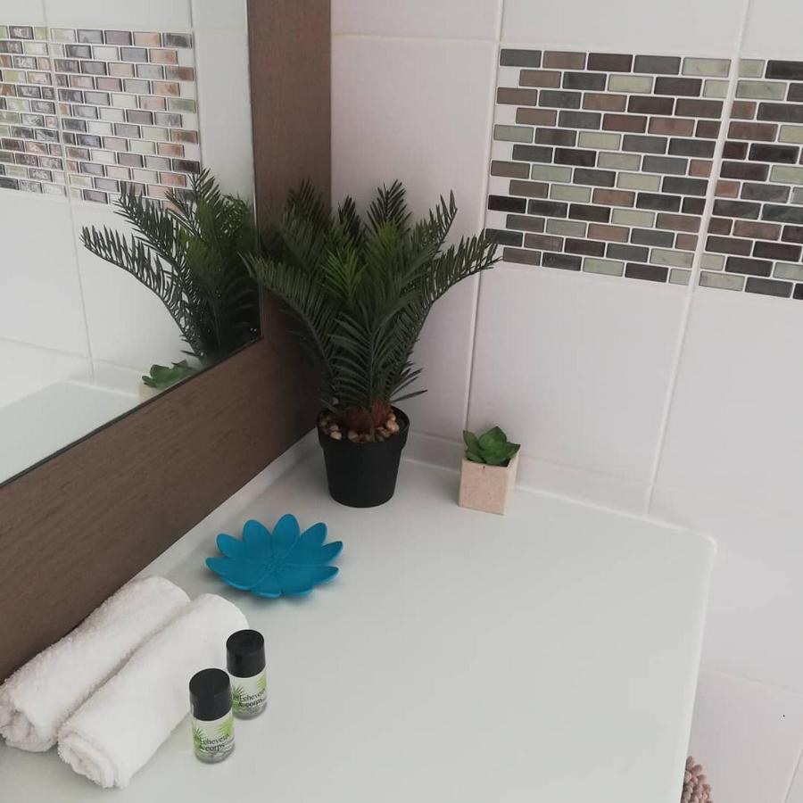Studio Vue Mer Piscine Plage Kaz Punch Manganao Chez Julie 圣弗朗索瓦 外观 照片