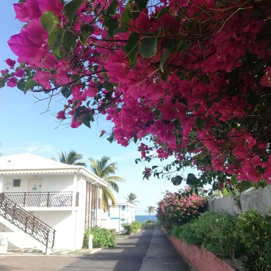 Studio Vue Mer Piscine Plage Kaz Punch Manganao Chez Julie 圣弗朗索瓦 外观 照片