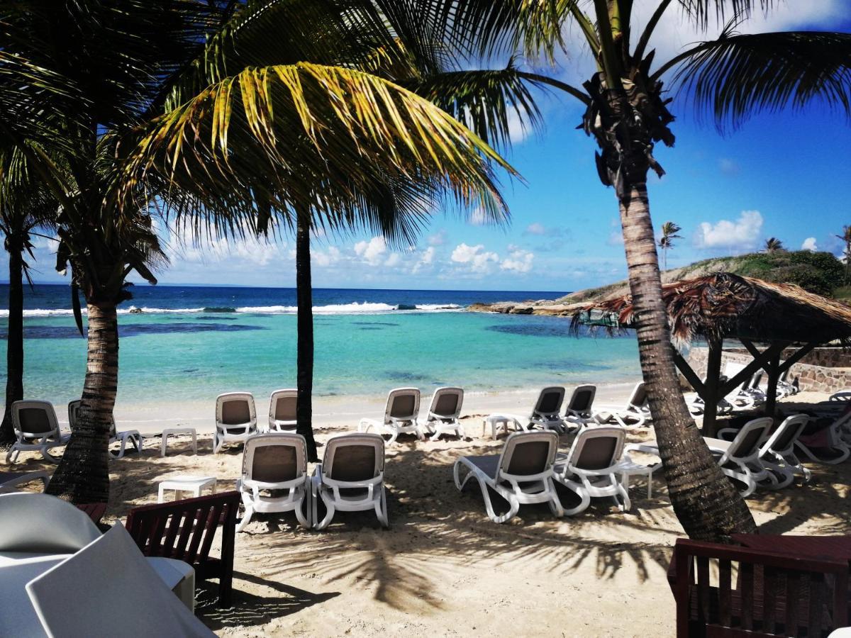 Studio Vue Mer Piscine Plage Kaz Punch Manganao Chez Julie 圣弗朗索瓦 外观 照片