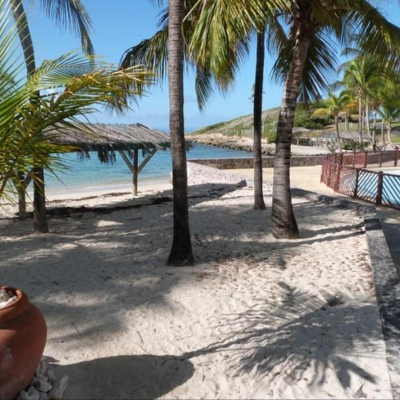 Studio Vue Mer Piscine Plage Kaz Punch Manganao Chez Julie 圣弗朗索瓦 外观 照片